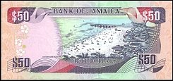 jamP.7950Dollars15.01.2001BNWr.jpg