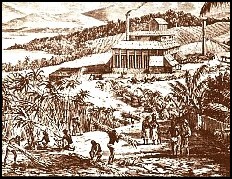 Brewer & Joske Sugar Mills Ca. 1870 Suva, Fiji