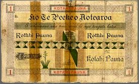 NzlP.S1011KotahiPaunaND1894noserial3.jpg